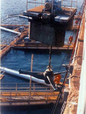 Surface Water Pumps