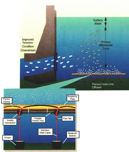 Dissolved Oxygen Enhancement